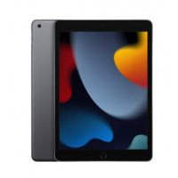 Apple iPad 10.2 2021 Wi-Fi 256GB Space Gray (MK2N3)