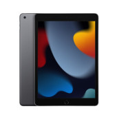 Apple iPad 10.2 2021 Wi-Fi + Cellular 256GB Space Gray (MK693)