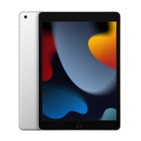 Apple iPad 10.2 2021 Wi-Fi + Cellular 256GB Silver (MK6A3)