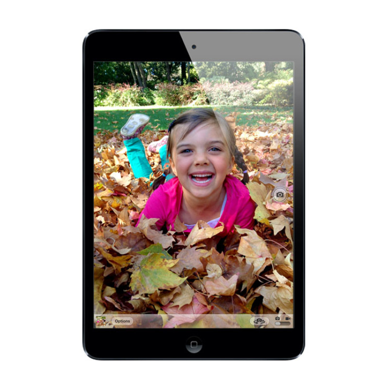 Apple iPad mini Wi-Fi + LTE 16 GB Black (MD540, ME215) фото 2