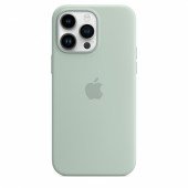 Чехол для iPhone 14 Pro Max Apple Silicone Case with MagSafe (Succulent)