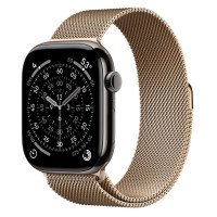 Apple Watch Series 11 GPS + Cellular 46mm Slate Tit. Case w. Gold Milanese Loop - S/M (MFC14+MGJ44)