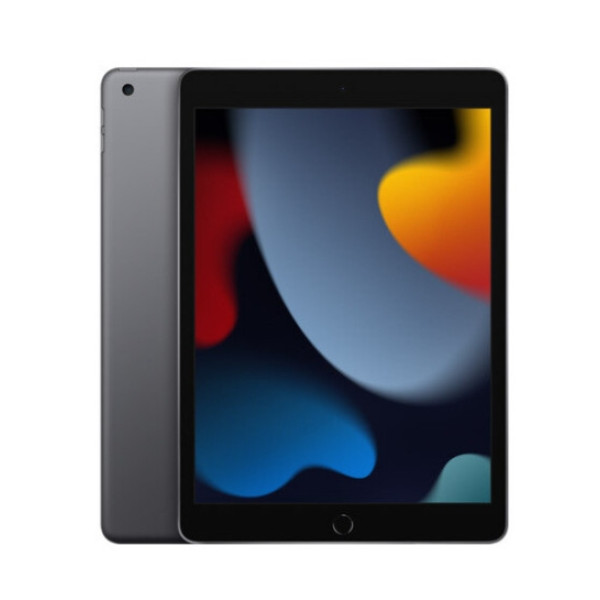 Apple iPad 10.2 2021 Wi-Fi + Cellular 256GB Space Gray (MK693) - фото Apple iPad 10.2 2021 Wi-Fi + Cellular 256GB Space Gray (MK693)
