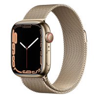Apple Watch Series 7 GPS + Cellular 41mm Gold Stainless Steel Case with Gold Milanese Loop (MKHH3)