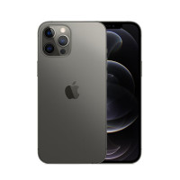 Apple iPhone 12 Pro Max Graphite Dual Sim 256GB (MGC43)
