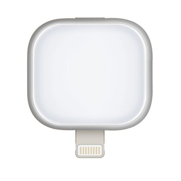 Накопичувачі пам'яті iFlash Storager (Сріблястий) - фото Накопичувачі памяті iFlash Storager (Сріблястий)