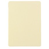 Чехол Книжка для iPad Air IBacks Flame (Бежевый) (Кожа)