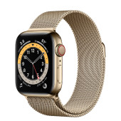 Apple Watch Series 6 GPS + Cellular 40mm Gold Stainless Steel Case with Gold Milanese Loop (M02X3, M06W3)