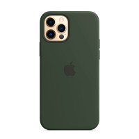 Чехол iPhone 12 Pro Max Apple Silicone Case (Cypurs Green)