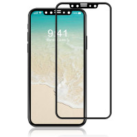 Захисні стекла для iPhone X Rock Origin Series (Black)