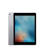 Apple iPad Pro 9.7 Wi-FI 256GB Space Gray (MLMY2)