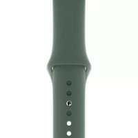 Ремінець-браслет для Apple Watch 38mm/40mm Silicone Nike Sport Band (Pine Green)