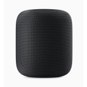 Apple HomePod Space Gray (MQHW2)