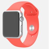 Apple Watch 38mm Silver Aluminum Case with Pink Sport Band (MJ2W2)