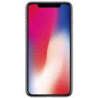Apple iPhone X 256GB (Space Gray) (MQAF2) (Used)