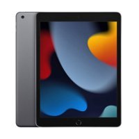 Apple iPad 10.2 2021 Wi-Fi 256GB Space Gray (MK2N3) UACRF