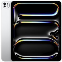 iPad Pro 13 2024 Wi-Fi + Cellular 256GB Silver (MVXT3)