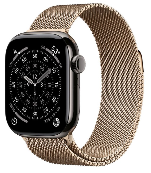 Apple Watch Series 11 GPS + Cellular 42mm Slate Tit. Case w. Gold Milanese Loop (MF9K4+MGJ04)
