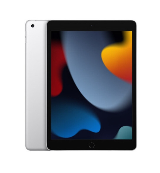 Apple iPad 10.2 2021 Wi-Fi 256GB Silver (MK2P3)