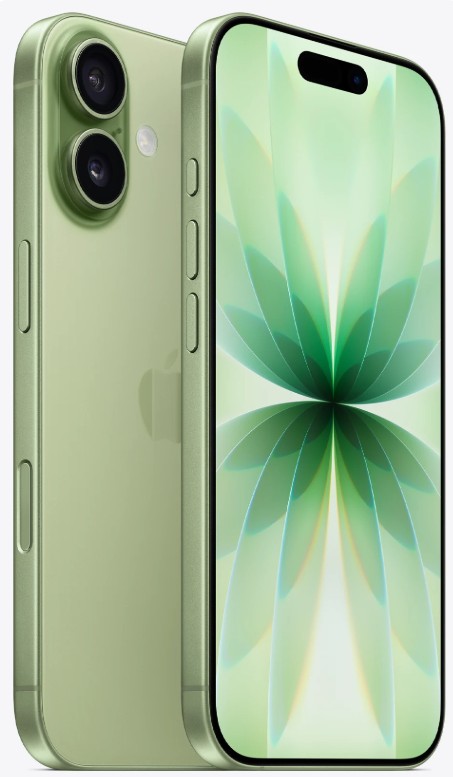 Apple iPhone 17 256GB Sage (MG6N4)