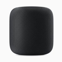 Apple HomePod Space Gray (MQHW2)
