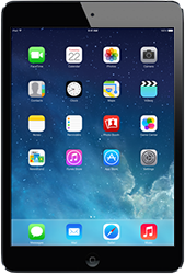 Ремонт iPad Mini